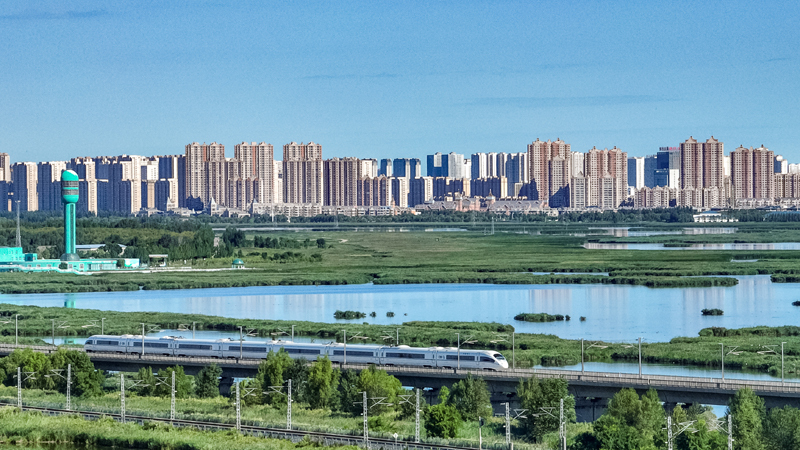 2025年8月17日，一列動車組列車駛過大慶東站。