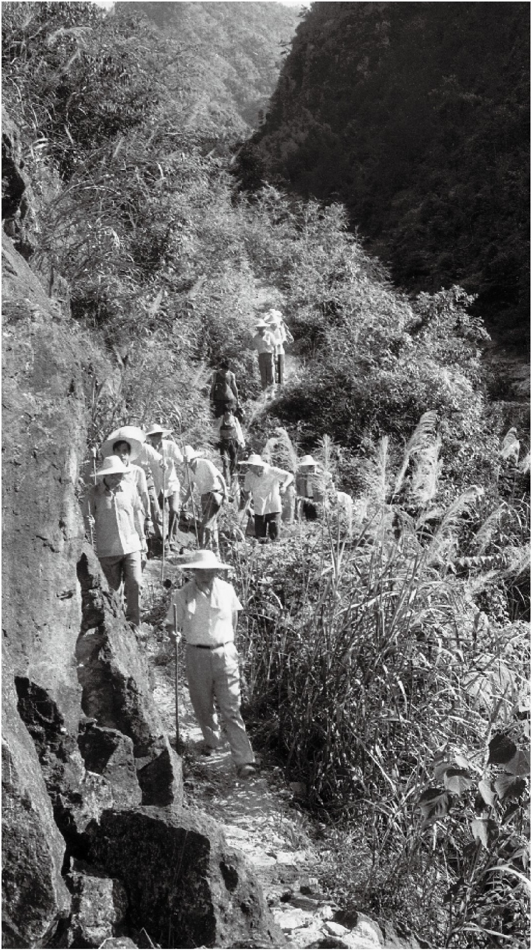 1989年7月，習近平一行到壽寧縣下黨鄉(xiāng)調(diào)研。