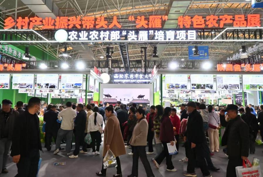 be09238836788363fd7035c721213dc3