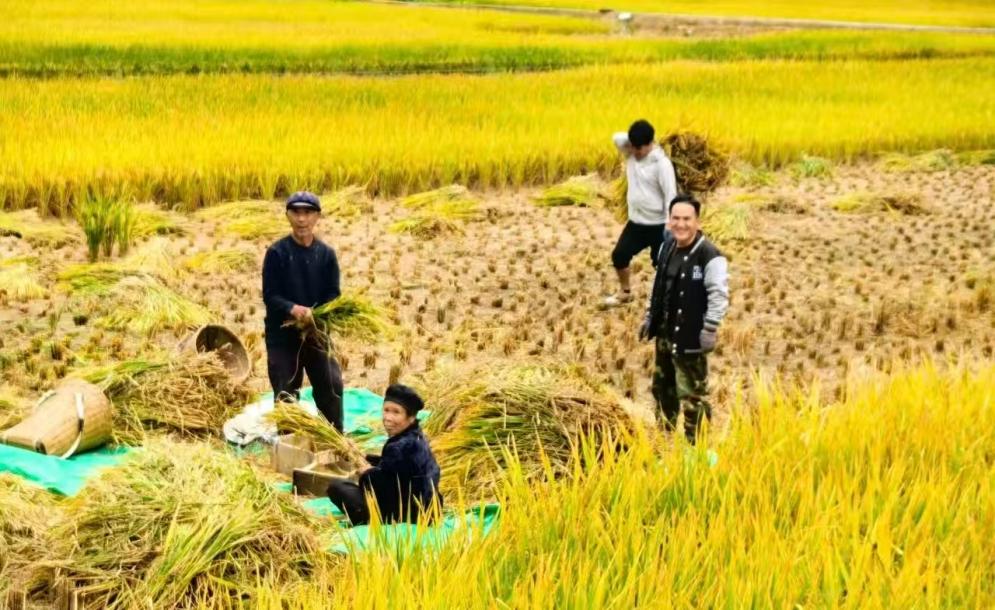 c8ea781ce4e4bc6cecf487e45ca3c36a