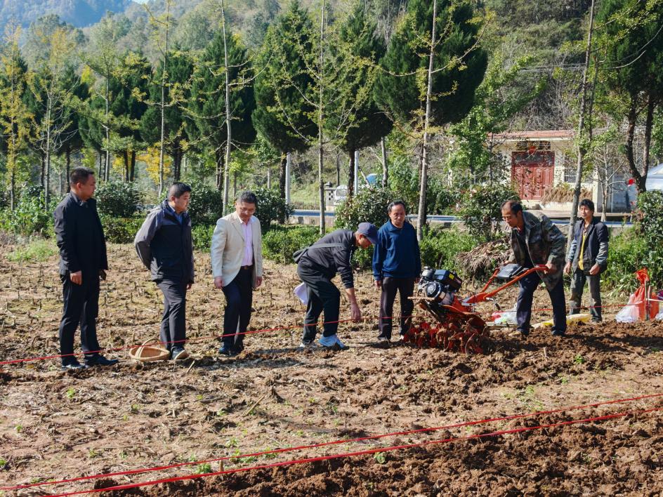 72453f368da585c2fbe04b7eb721f5ee