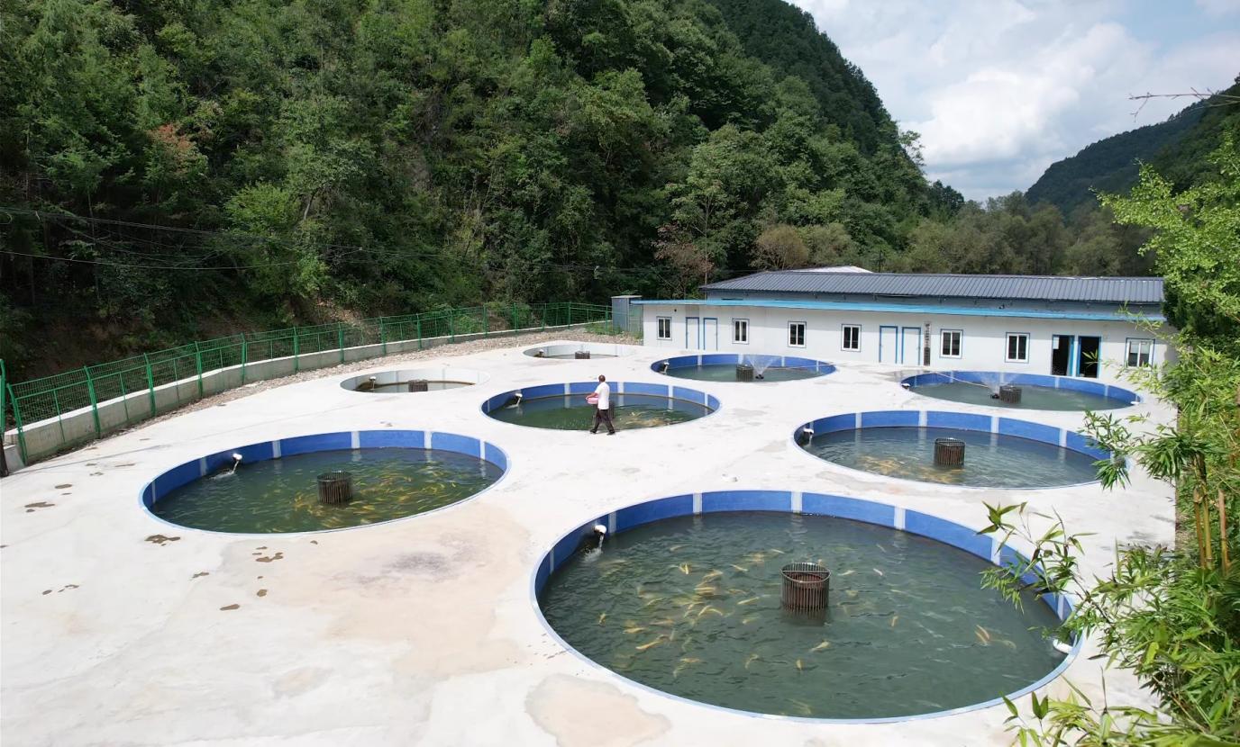 C:\Users\Administrator\Desktop\11\go_photo_1694752613506.jpggo_photo_1694752613506