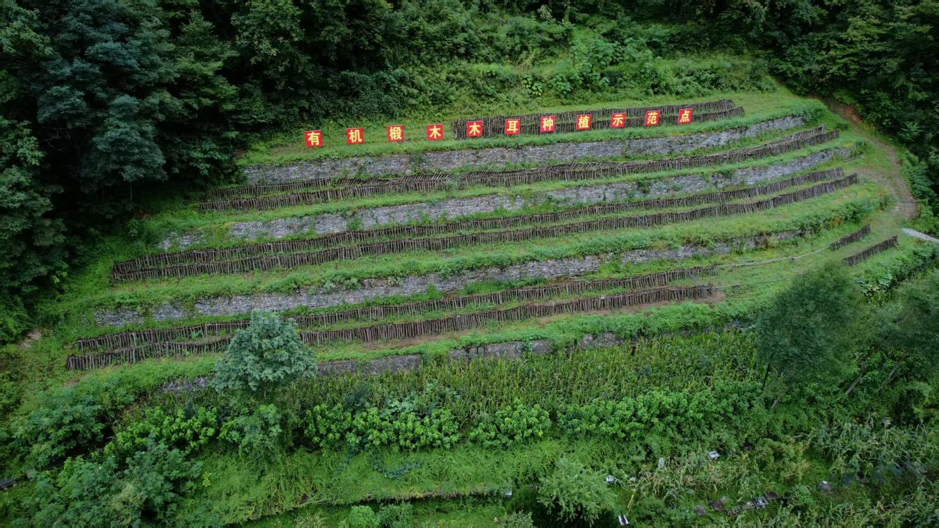 4e1a0d0c9bbbbcbbee7a562e6024bd40