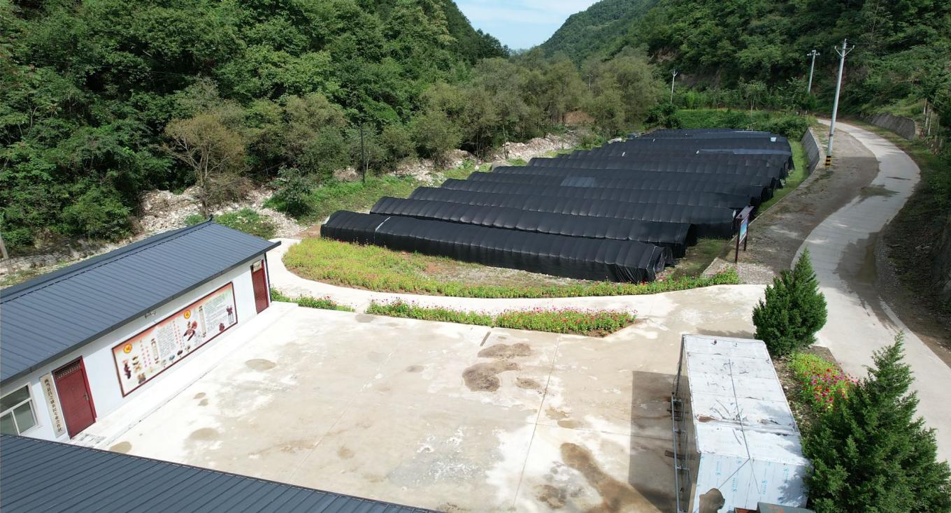 C:/Users/KY/Desktop/54435435.jpg54435435