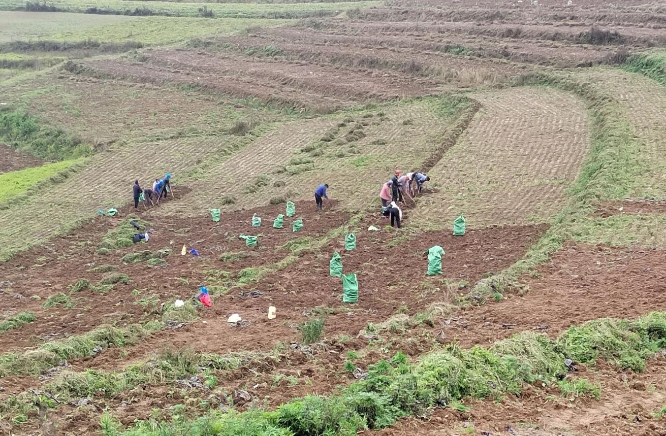 543b3b48a0224f54e3e69c7f0d0678a2