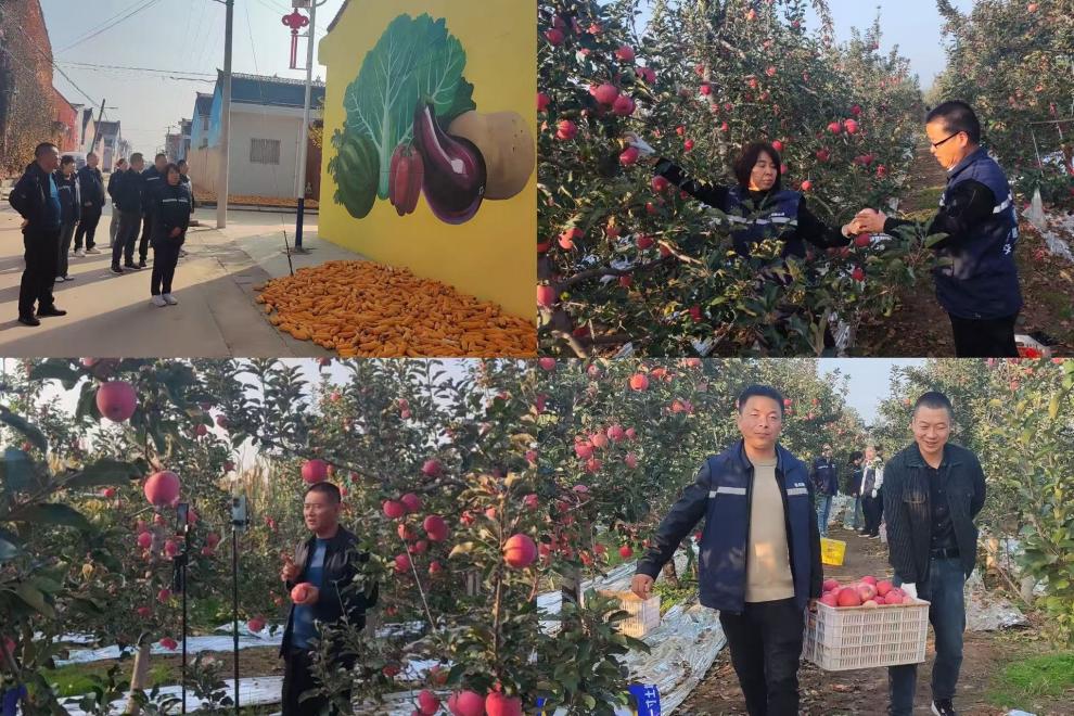 8f3c7c5c4115131903828be0c2f13249