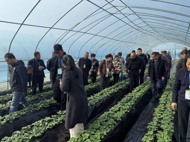 mmexport1761881181521