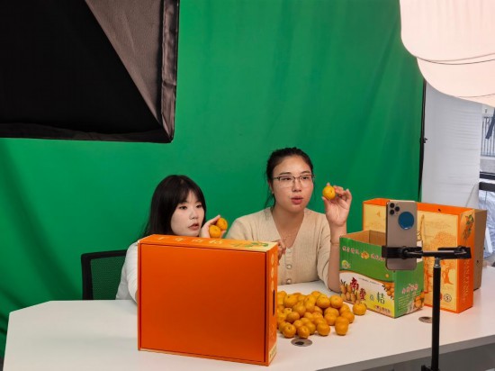 在江西省撫州市南豐縣，工作人員正通過線上直播售賣南豐蜜桔。新華社記者 熊家林 攝