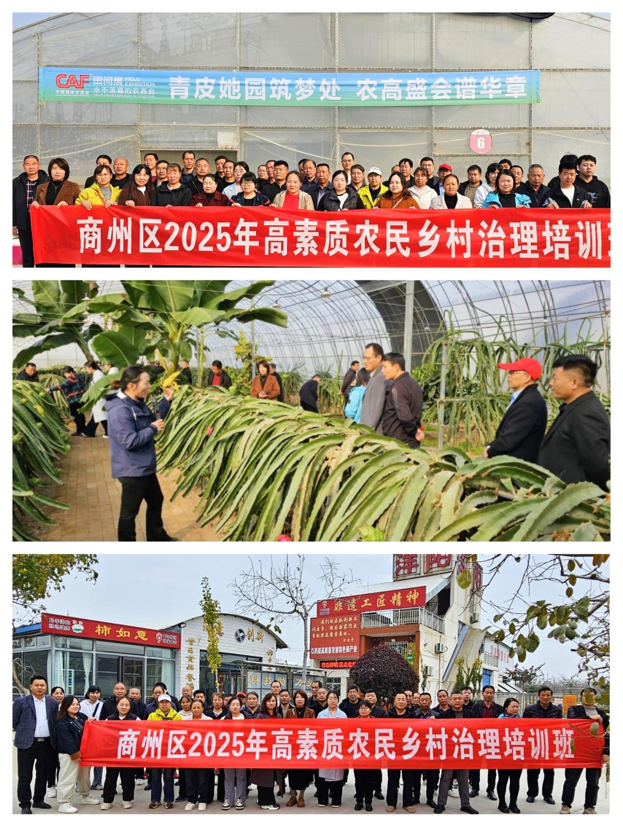 5d4d8ac5693afb2d2e3fe74c8d95cfb