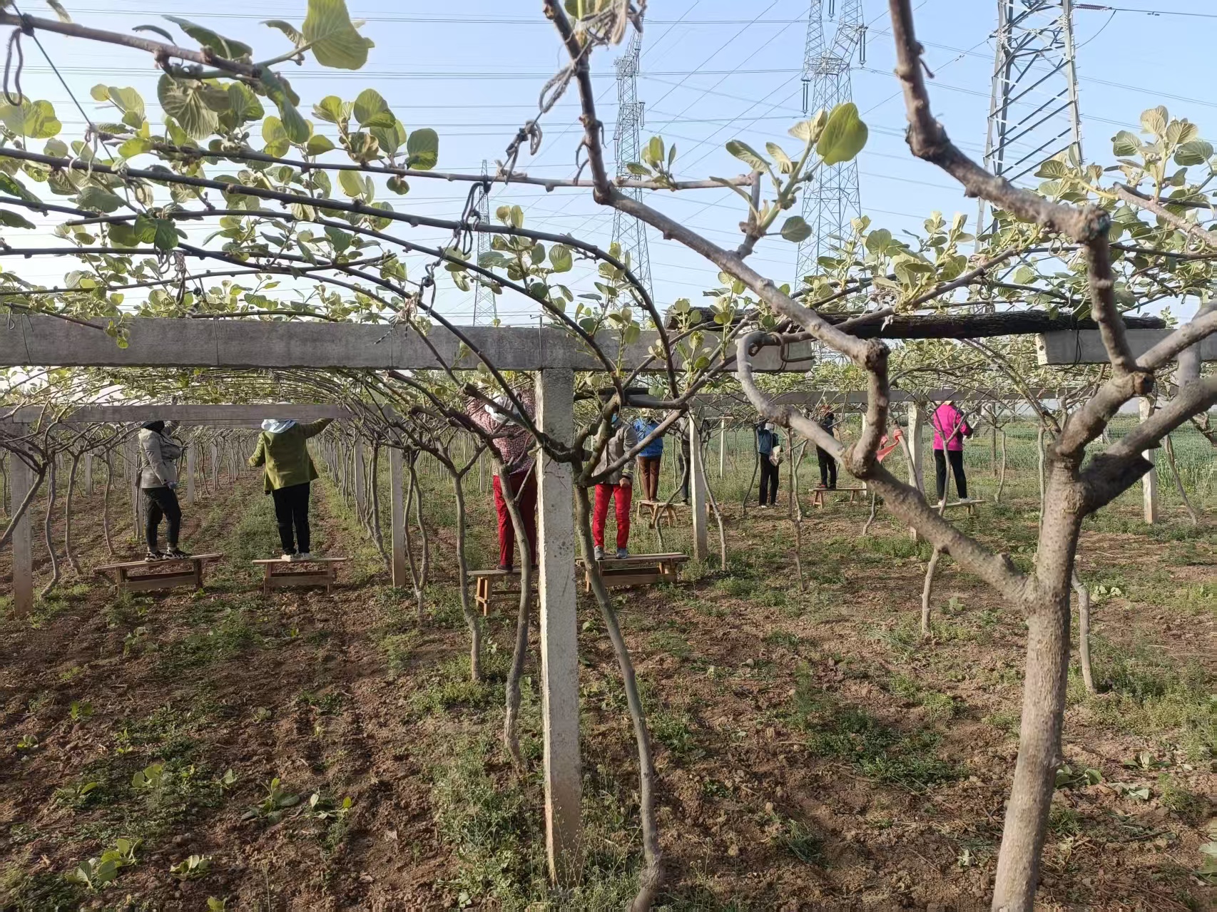 dd7d4905190d8b3e1b9b6c9fa7cf3808