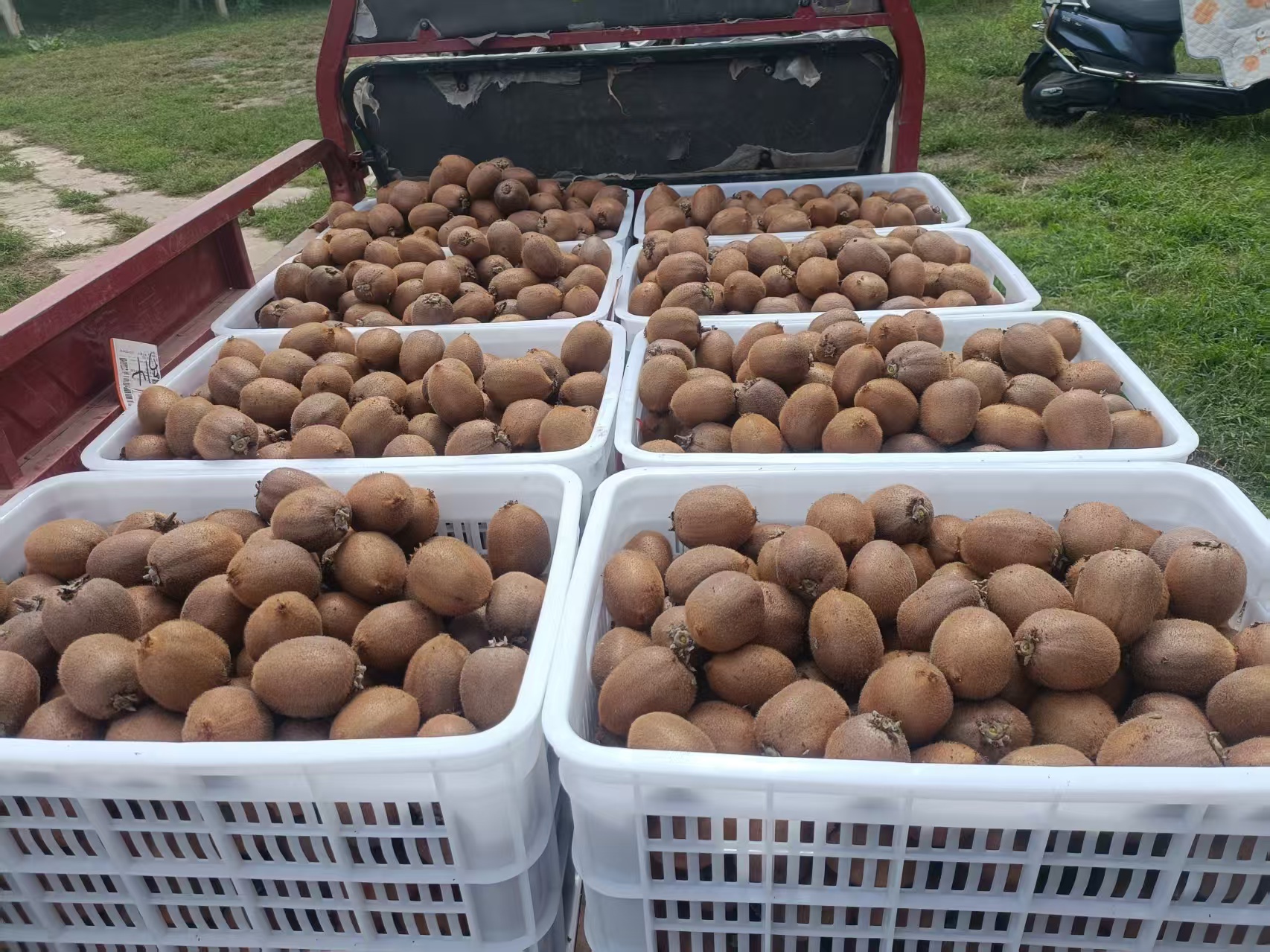 eeb590285bb4687a49d599c0cd903206