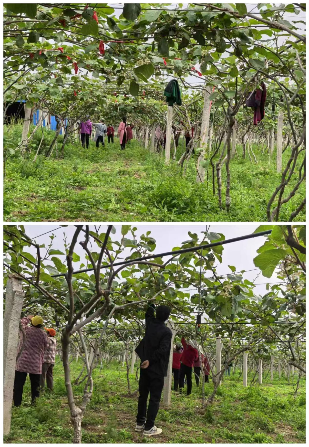 c72ccd9e6f0179b06ab104faaab4d39