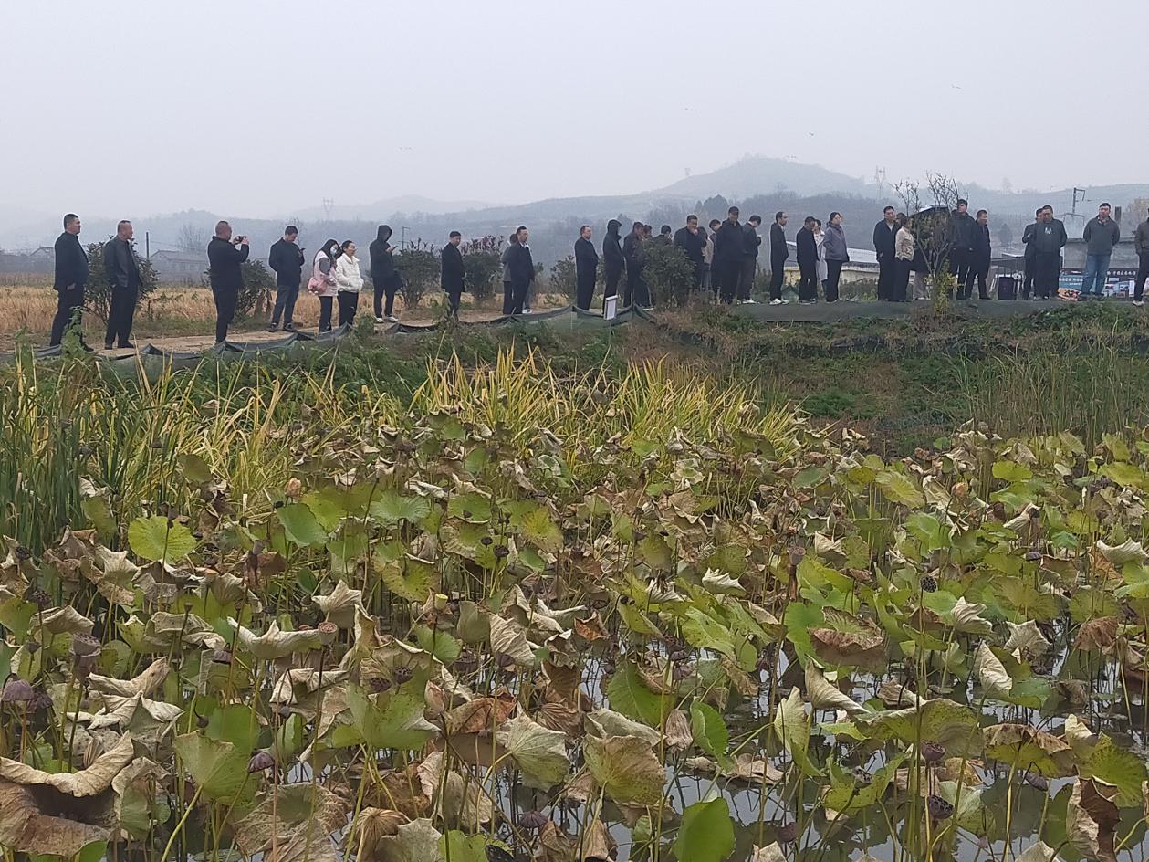 農(nóng)業(yè)培訓(xùn)1