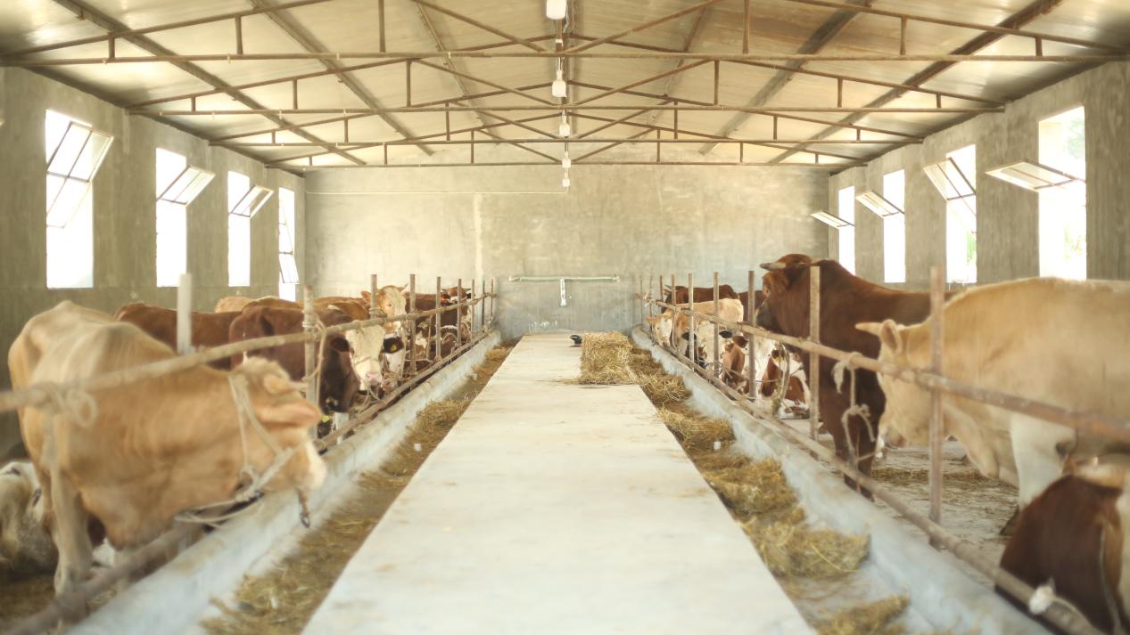 1cca85998799b31ee07d5484f4d94943