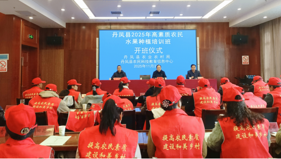 d5868a9ef190953d029fdcbae95074df