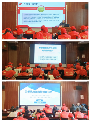 2c7956699436da844abeb39c6561bc69