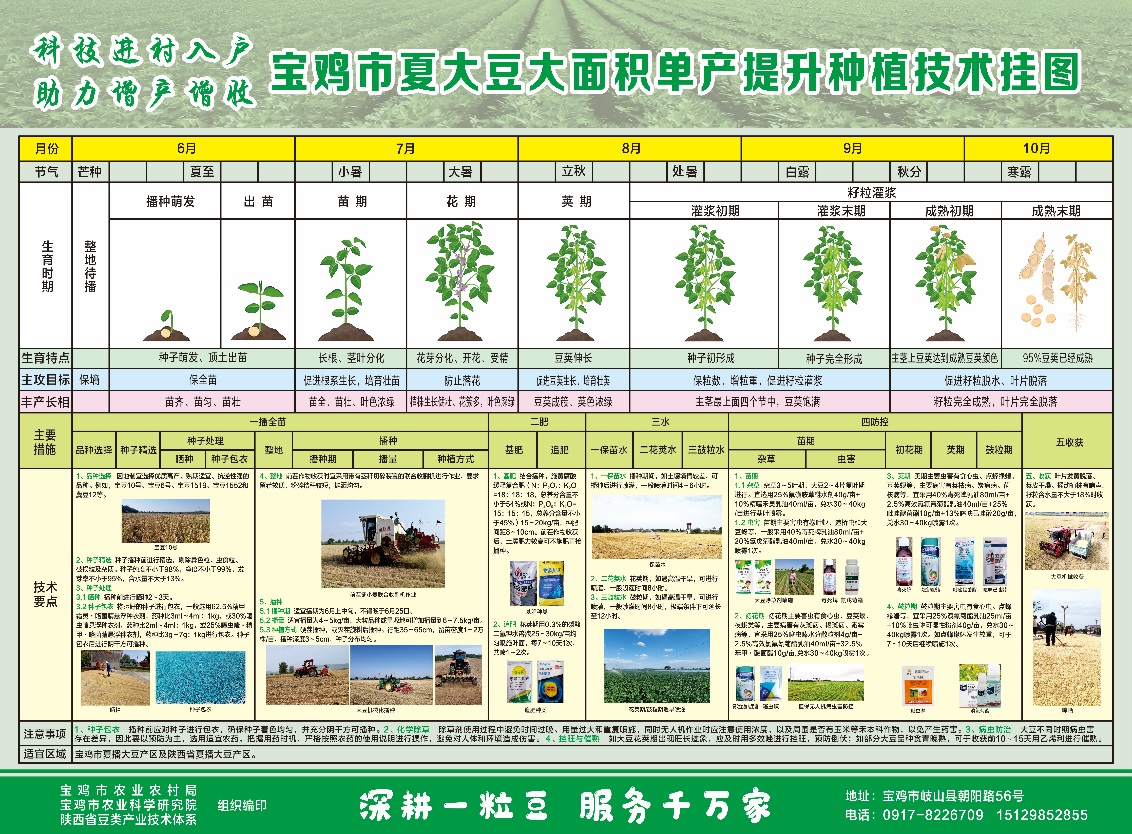 D:\工作\2025\3成果\2025寶雞市夏大豆高粱大面積單產(chǎn)提升種植技術掛圖\夏大豆種植技術掛圖.jpg