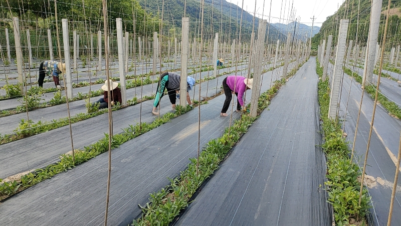 c125bf2feb3c4b15891e5ed99da6ed58