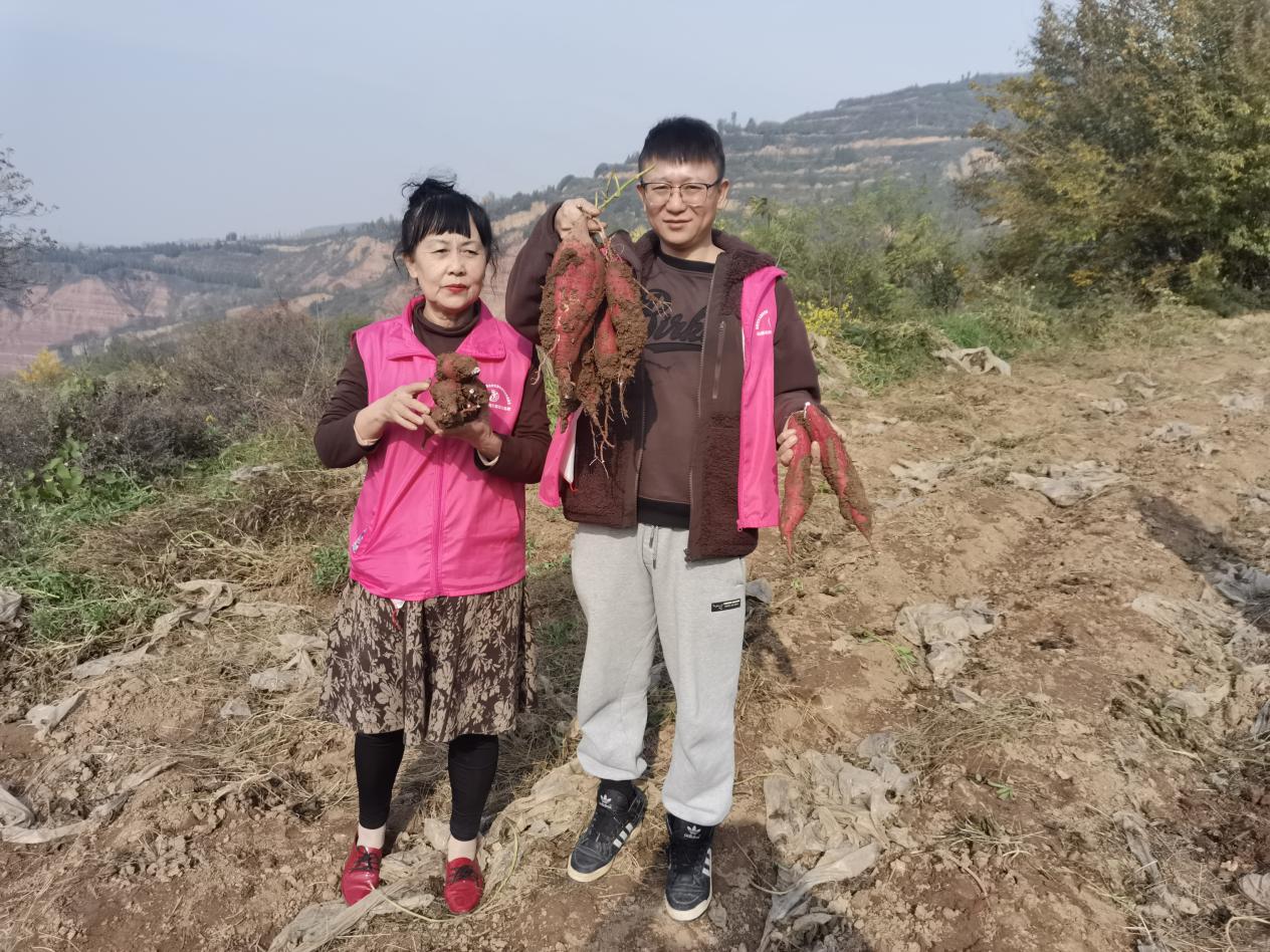 d66883c15b4a366621a53c983bcdbb8a