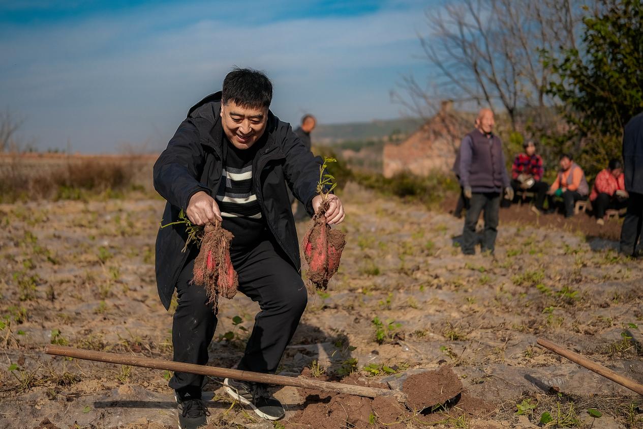 44525db88bf2d083ab91eb8a72eb53c3