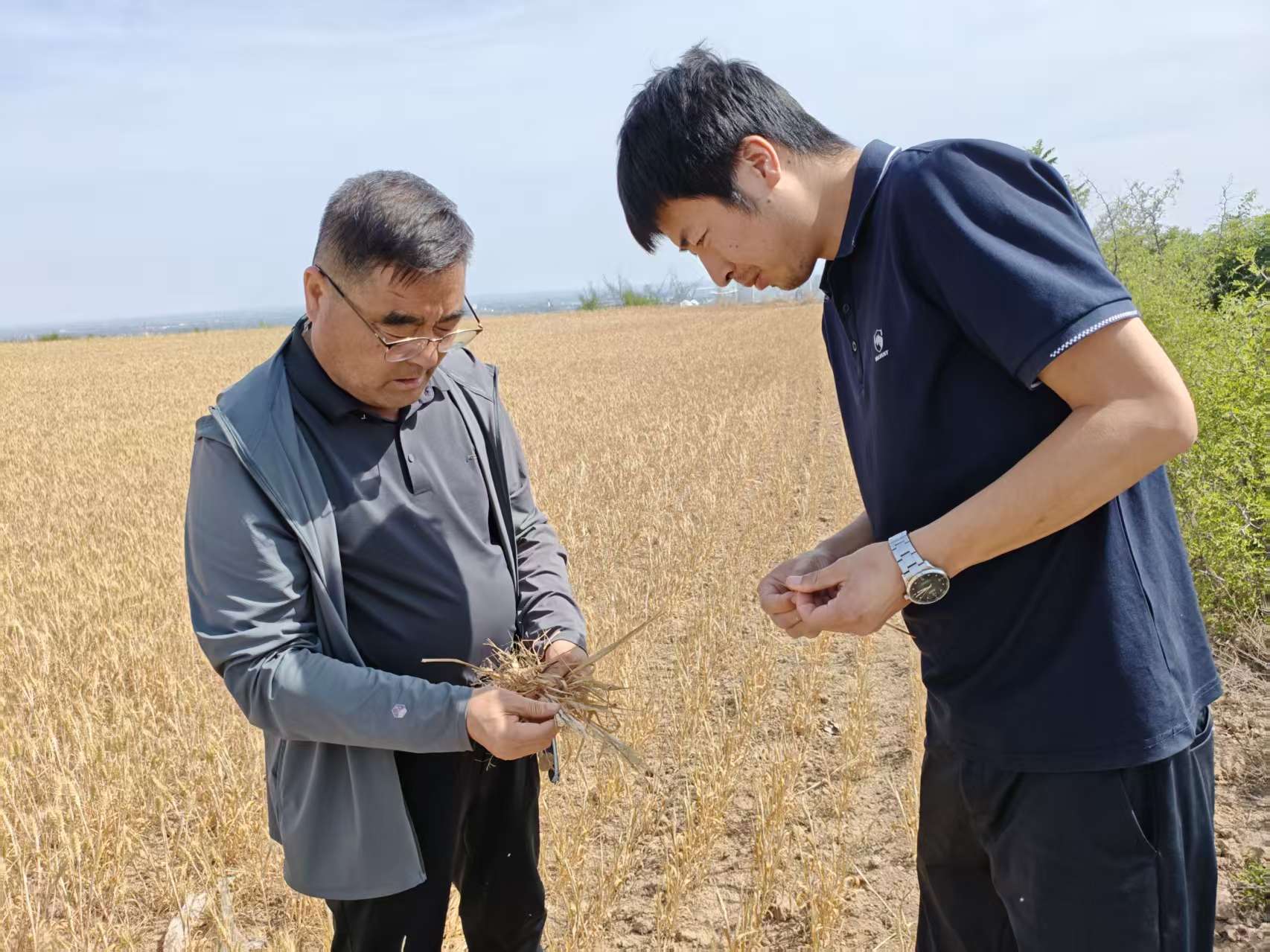 36b5ed19af858f06e76e8b3a2e643b99