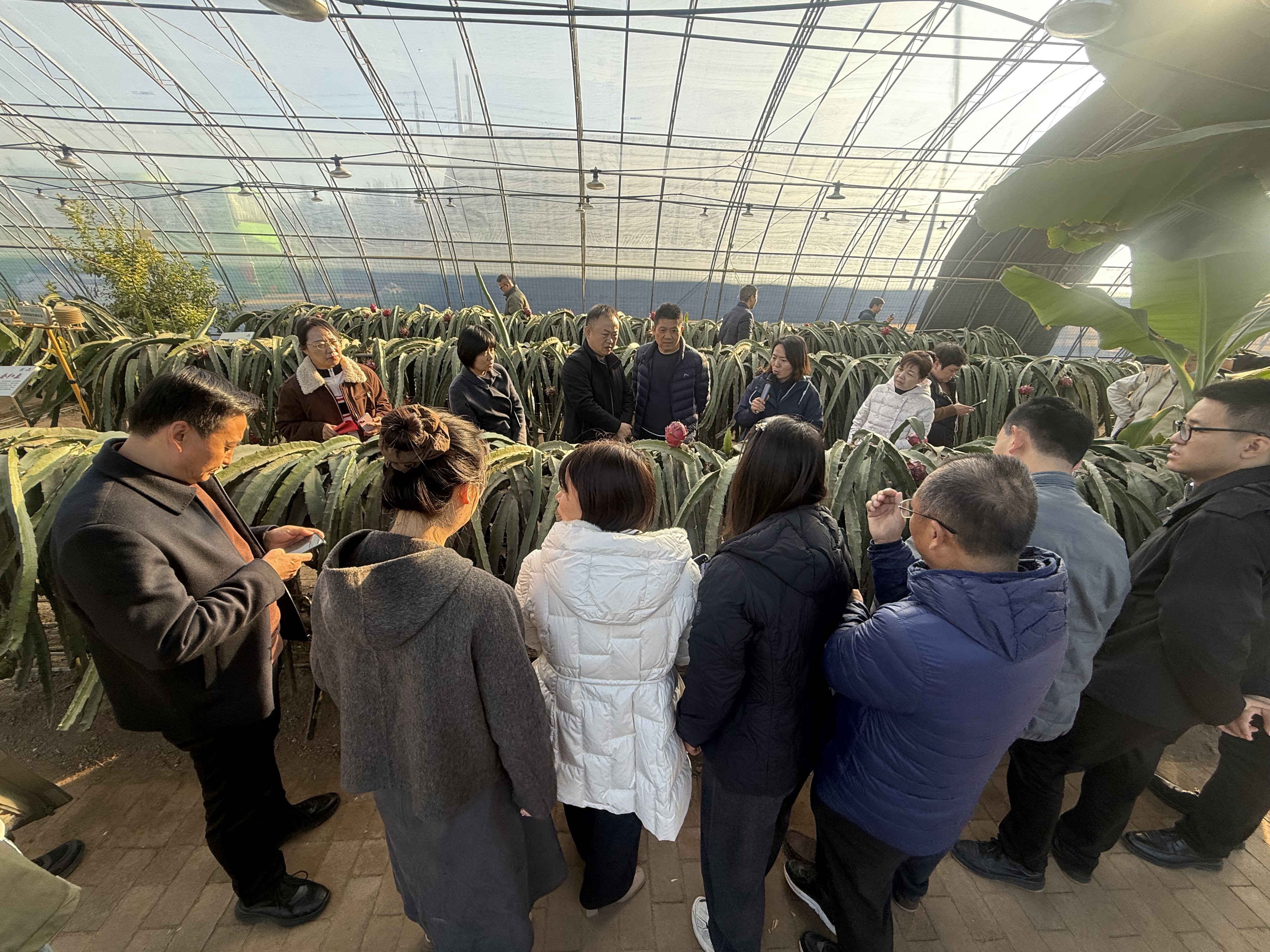 3cb388b89e0524496c4b226c0fe87d8