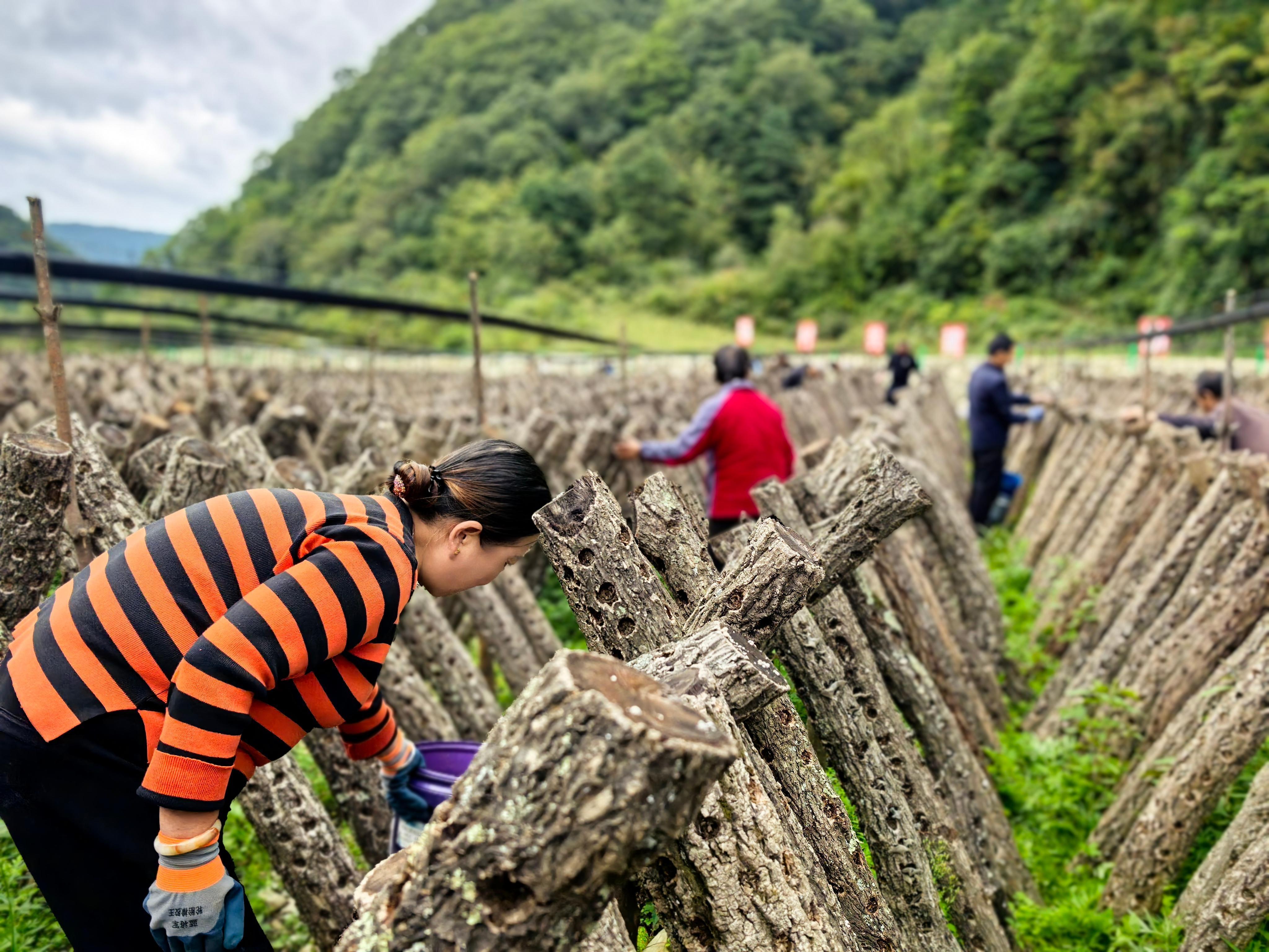 fa429a2a5ae71bc0a3d50316a7f9c081