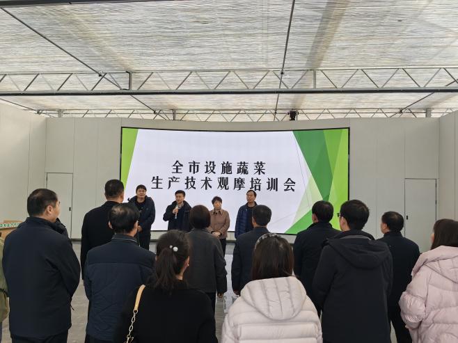 99ea527fc8f1f8e84db08720128e7439