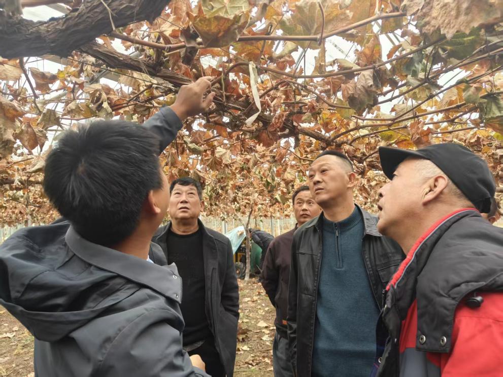 052602ba09795e5e7e51ffef91e3fd21