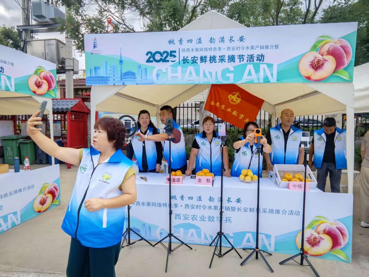 微信图片_20251124170437_10_26