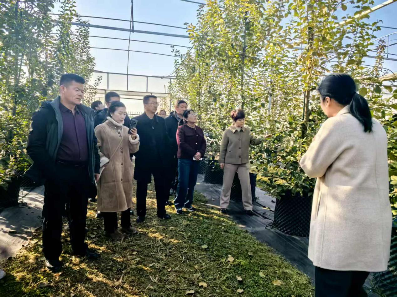 14d1e1db13b926e808dd4693f8fdbf51