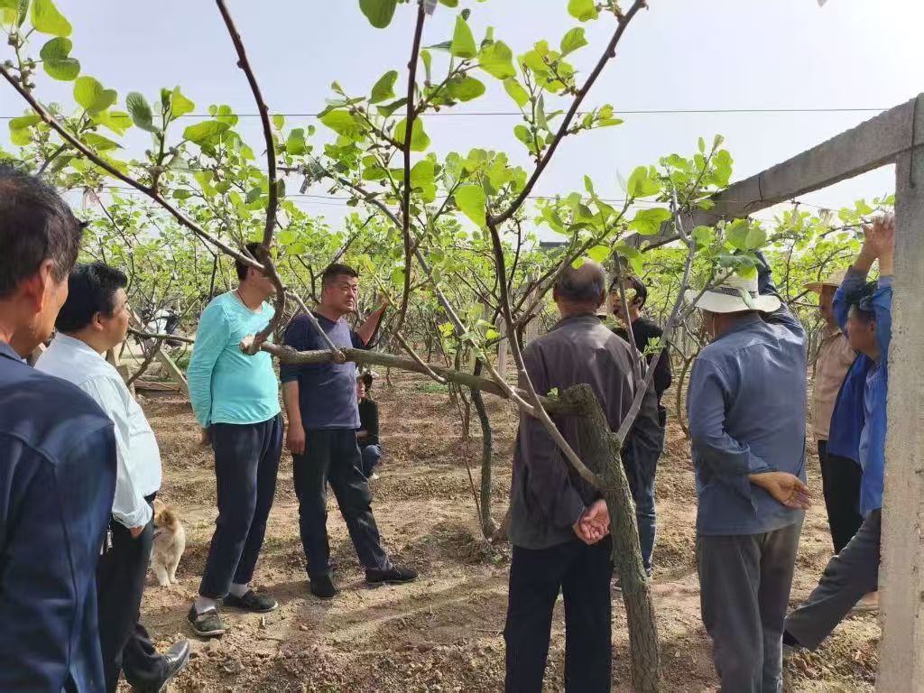 微信图片_20251125185011_38_170