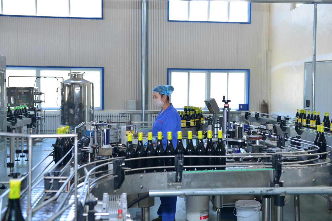 6b12ac89a6ffe56af2bde3fc92f5e702