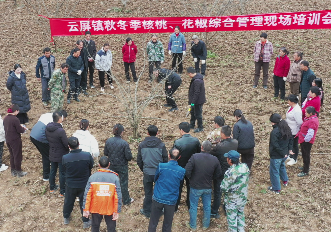 c76542c94b2f3803dbf38883443d3411