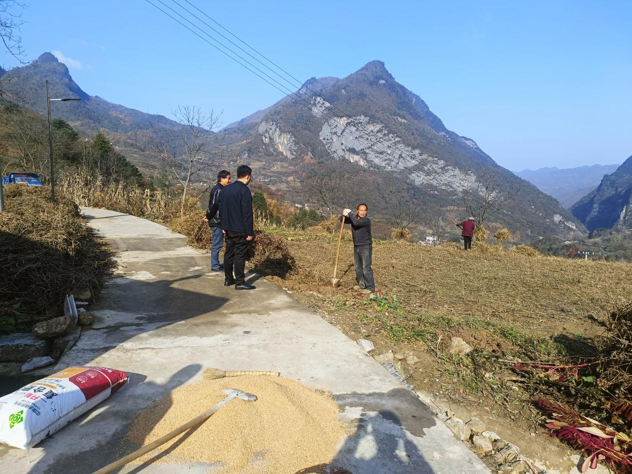 f7d8a1663973aa578638783c52340937