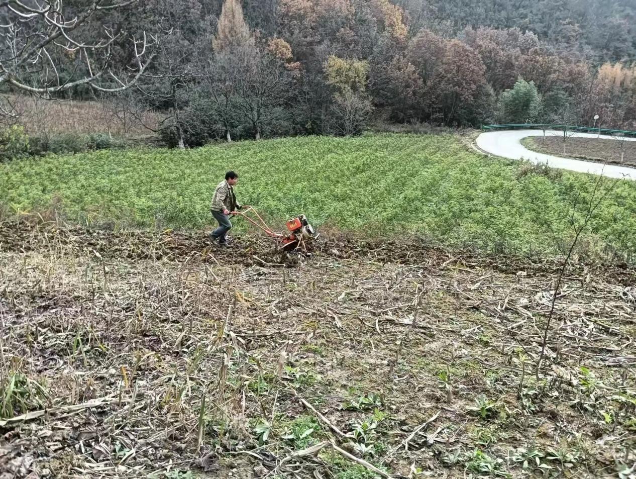 8a8a40a12fe507f6cfce851fd96ba040