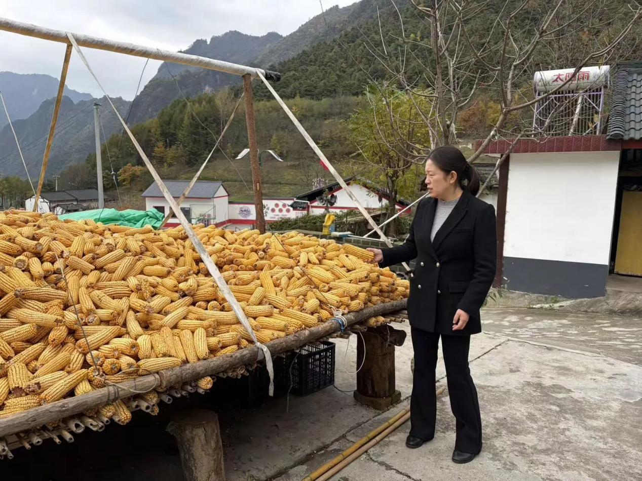 7ecba5da1f2f11caf72b8b30c3af27f8