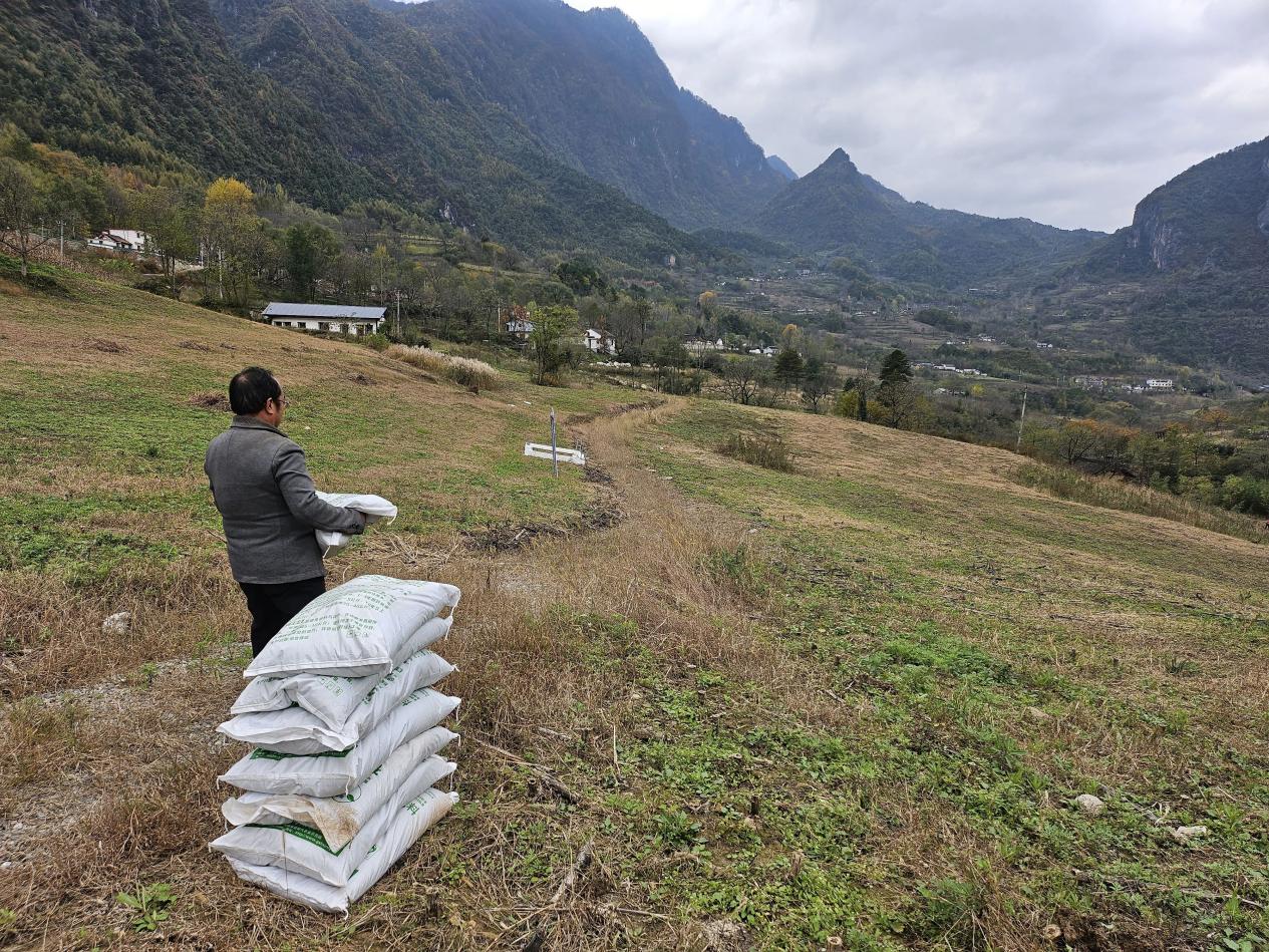 dff34ebce21473d637b6ee04c590e2cf