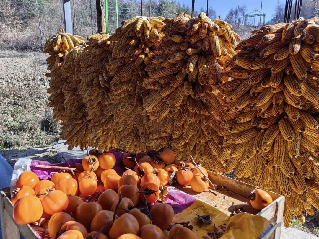 855d5cb67a09424d74f46f54fbc15226