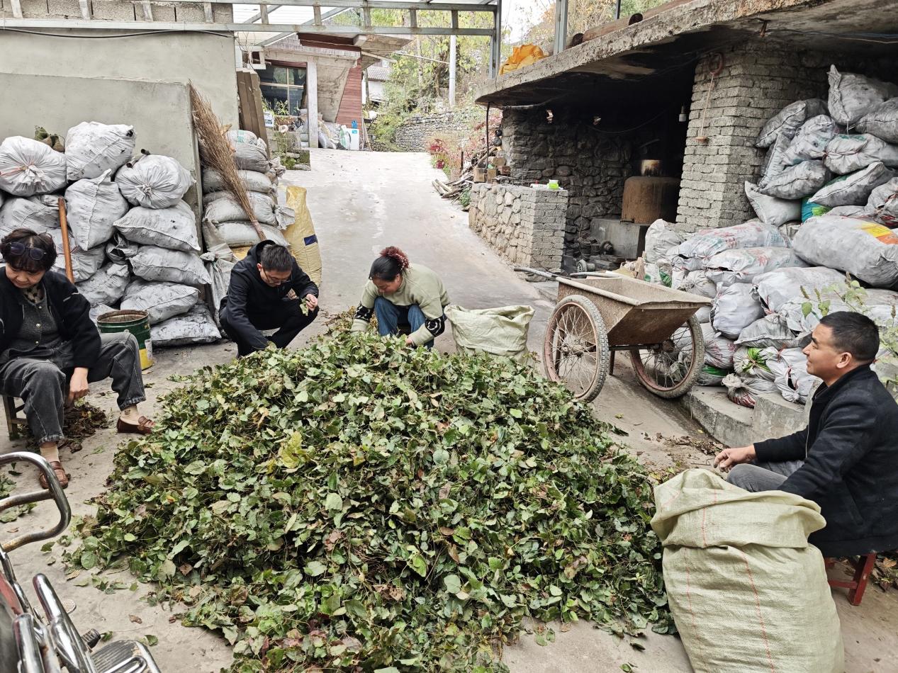 d955594168d3f6ad40b9e0b848a66bc0