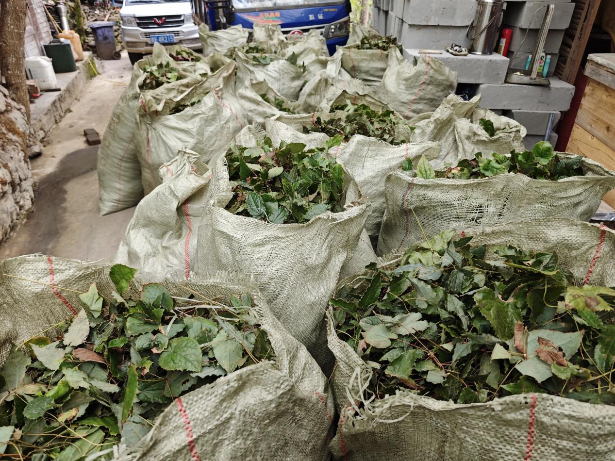 3f5b426887f7e09bfa77d2ac64f10da4