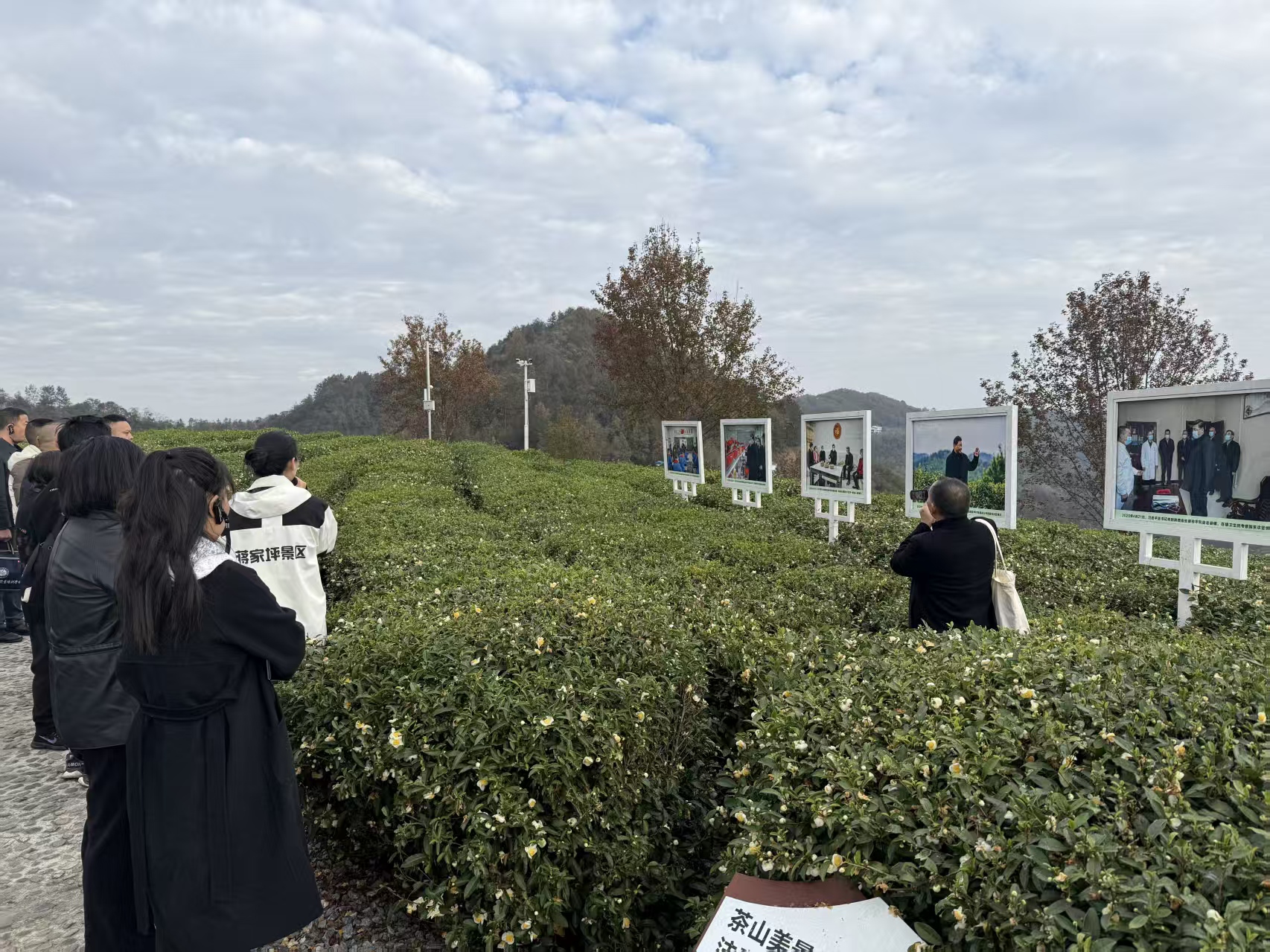 0734ad92e1dc40c7cb966fef4d86ed87