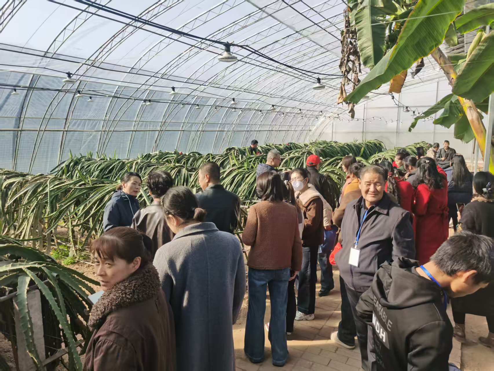 3bbe73344f2ceae7713ba11813e9c874