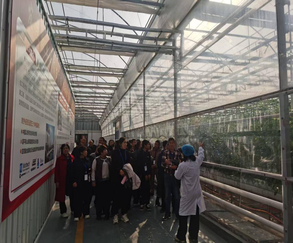 d6636865f7f672a7227e2944286edb81