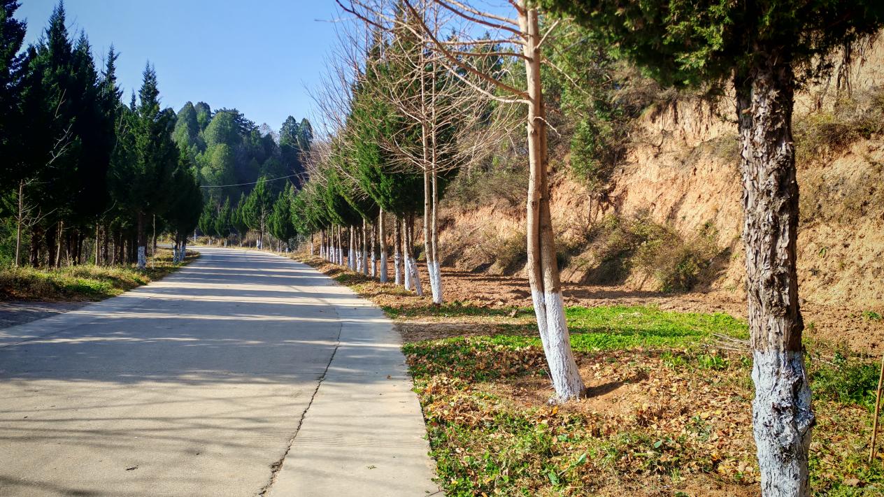 微信图片_20251126181713_34_16