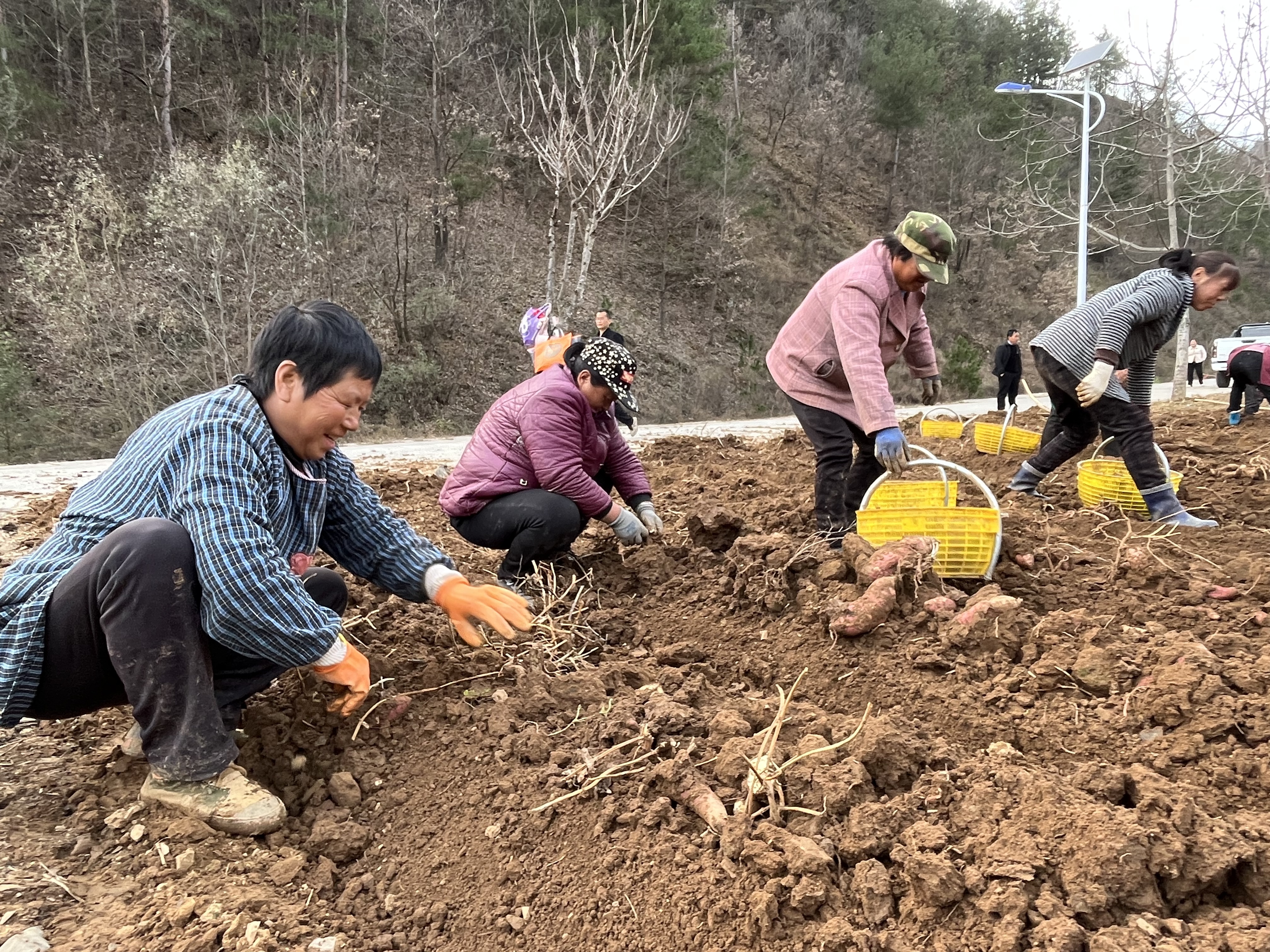 6edc13802ee637f0e23e9f0d905dab66