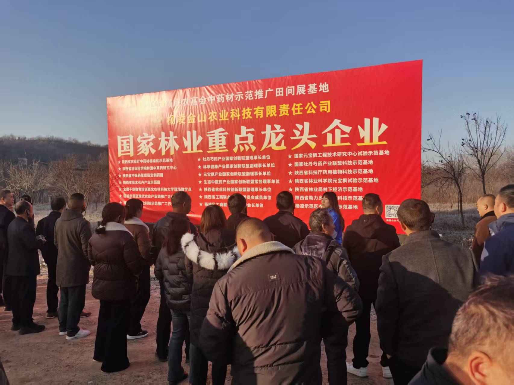 7cb99fa745382f3c0896ced545160ef0