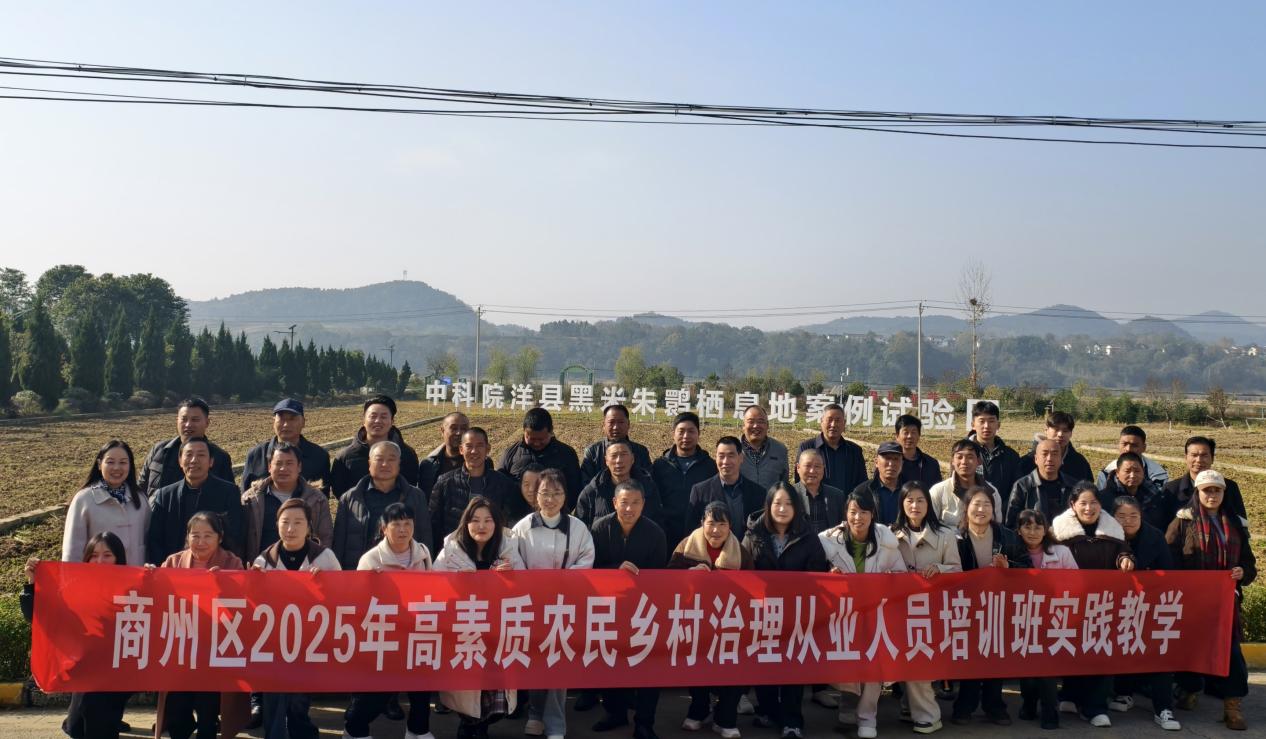 13a015fae014b47bf41b76e74f6aab6