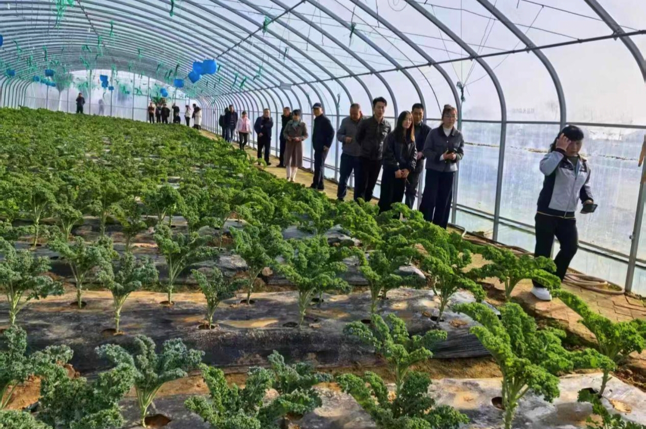 a4adfbe4b520f79f4bf297546d13935