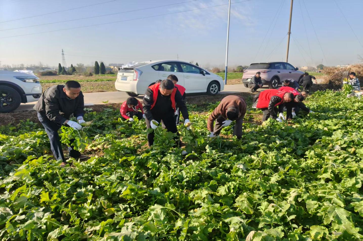 微信圖片_20251201095708_18